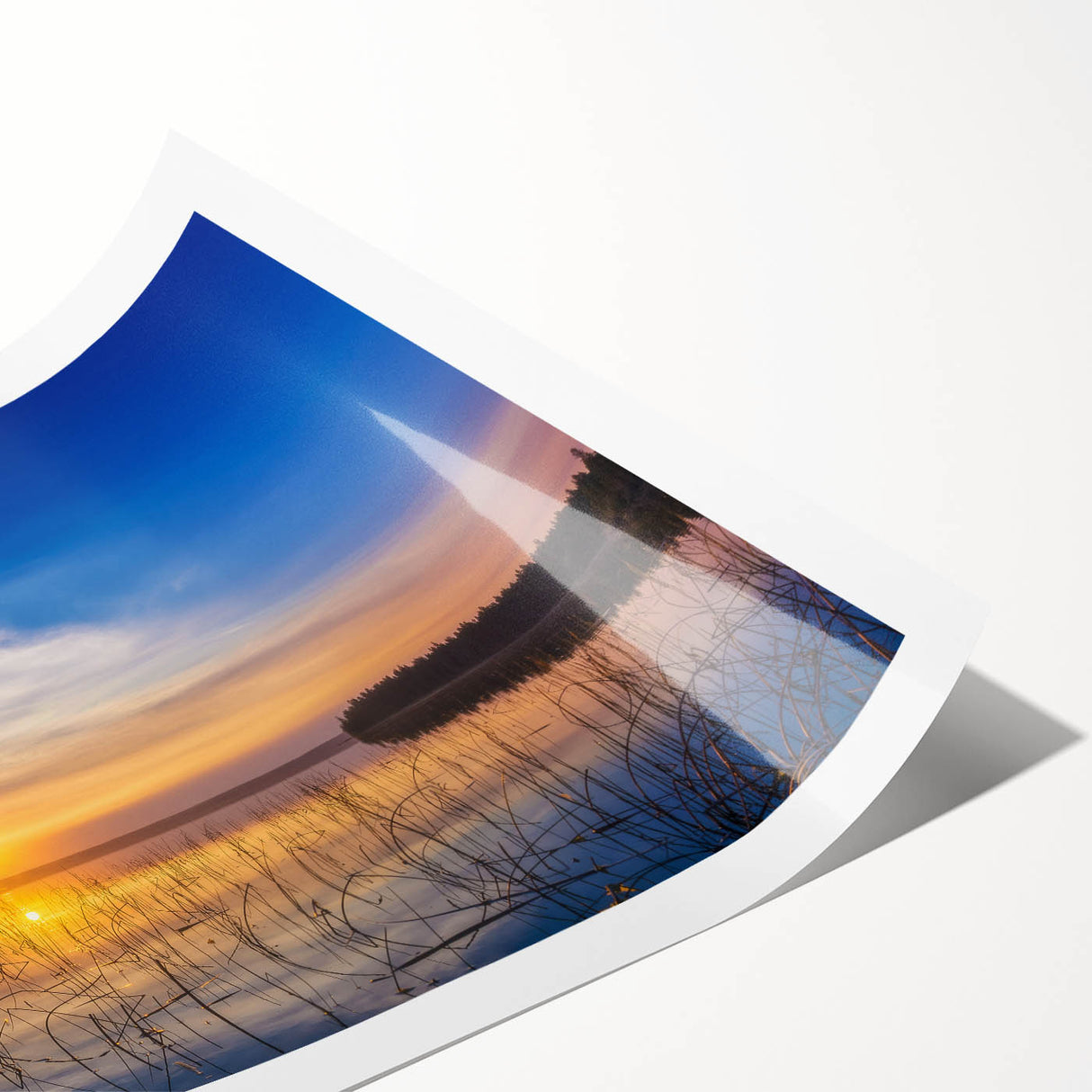 Extra large wall art featuring line art flowers in muted earth tones on a rolled canvas, ideal for large living room decor.