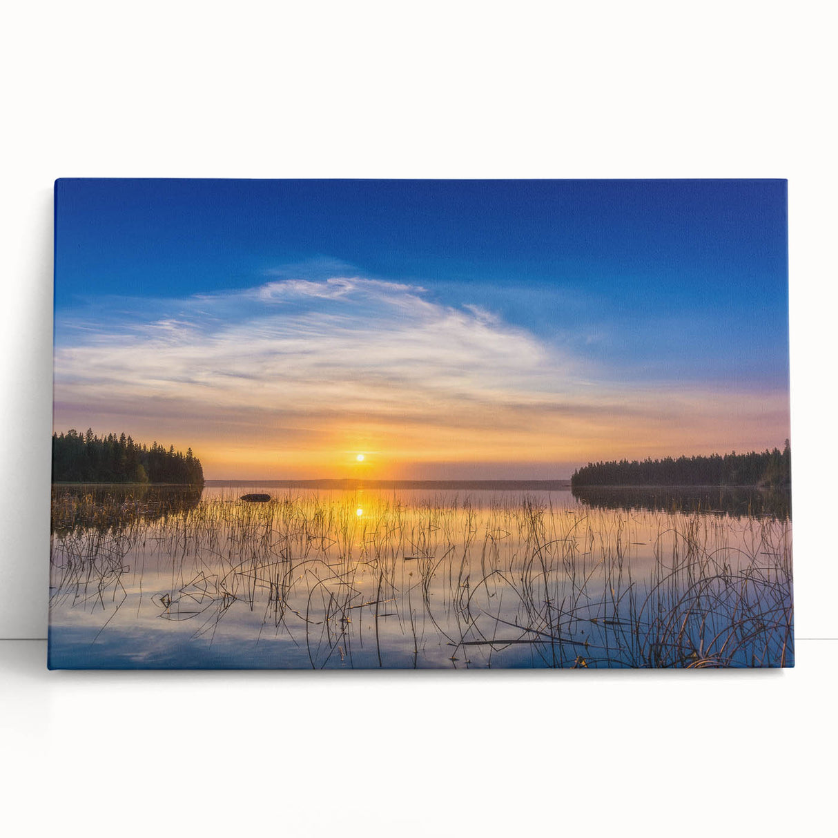 Black and white photograph of Saskatchewan scenery on a large stretched canvas.