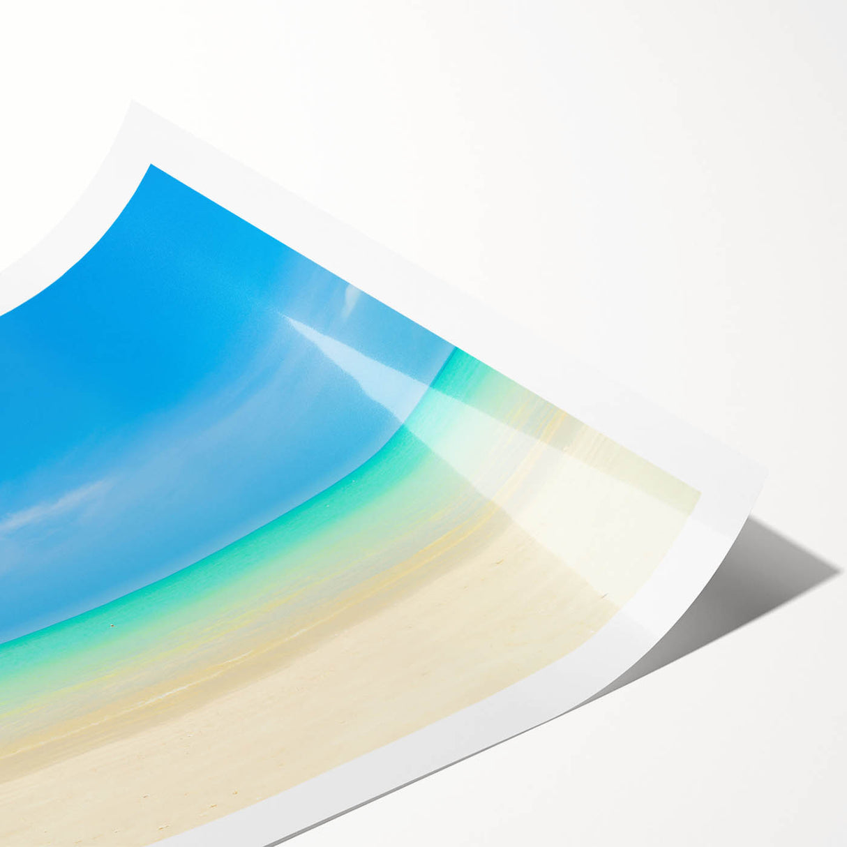 Extra large wall art featuring line art flowers in muted green and white tones on a rolled canvas.