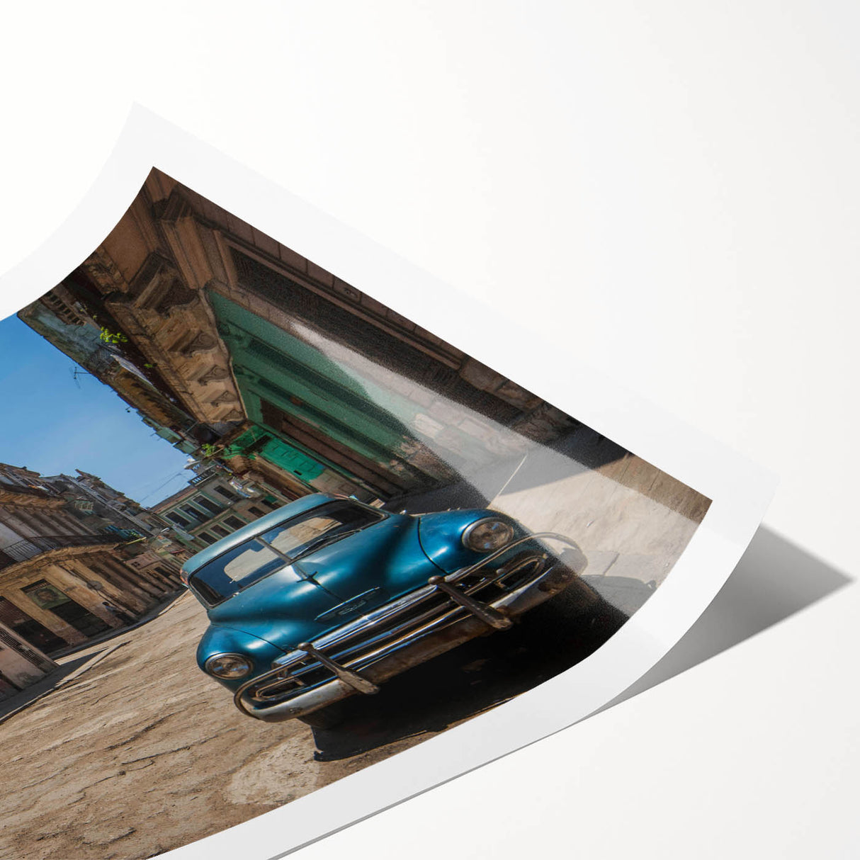 Extra large wall art featuring line art flowers in vibrant colors on a rolled print, ideal for large living room decor.