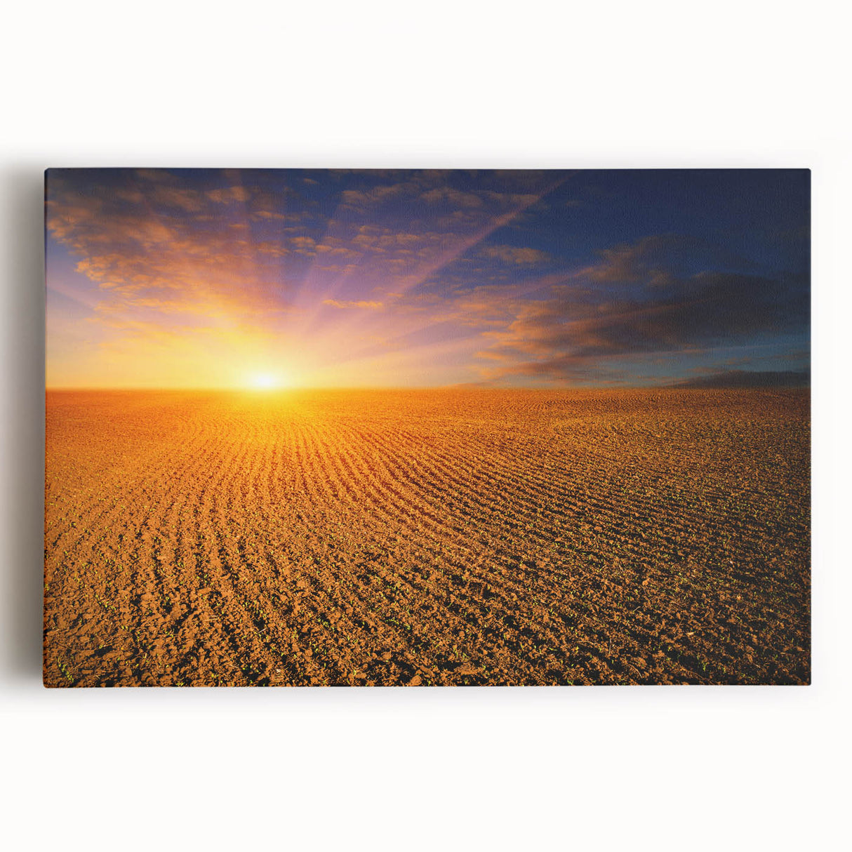 Black and white photograph of a European cityscape on large stretched canvas, suitable for kitchen wall art.