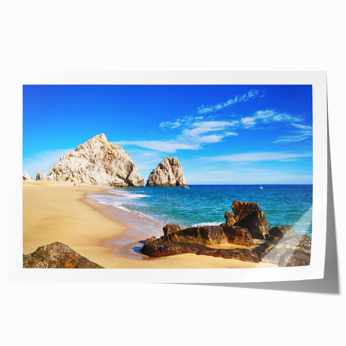 Extra large rolled print of Baja California scenery with vibrant floral elements, suitable for dining room wall art.