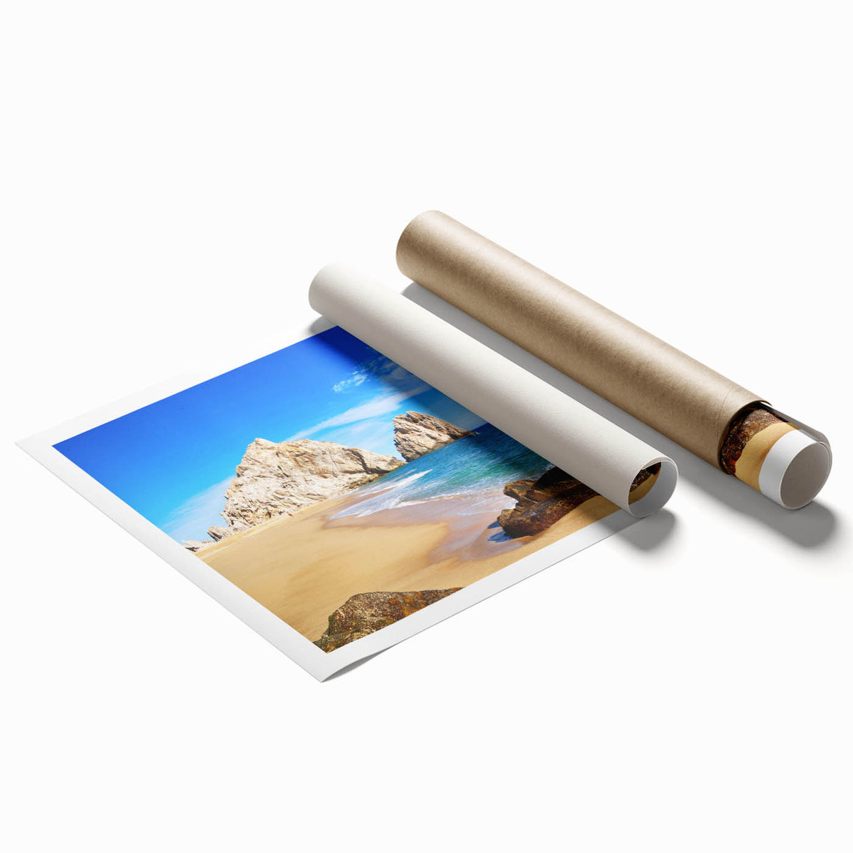 Extra large rolled print of Baja California scenery with vibrant floral elements, ideal for classy bathroom wall art.