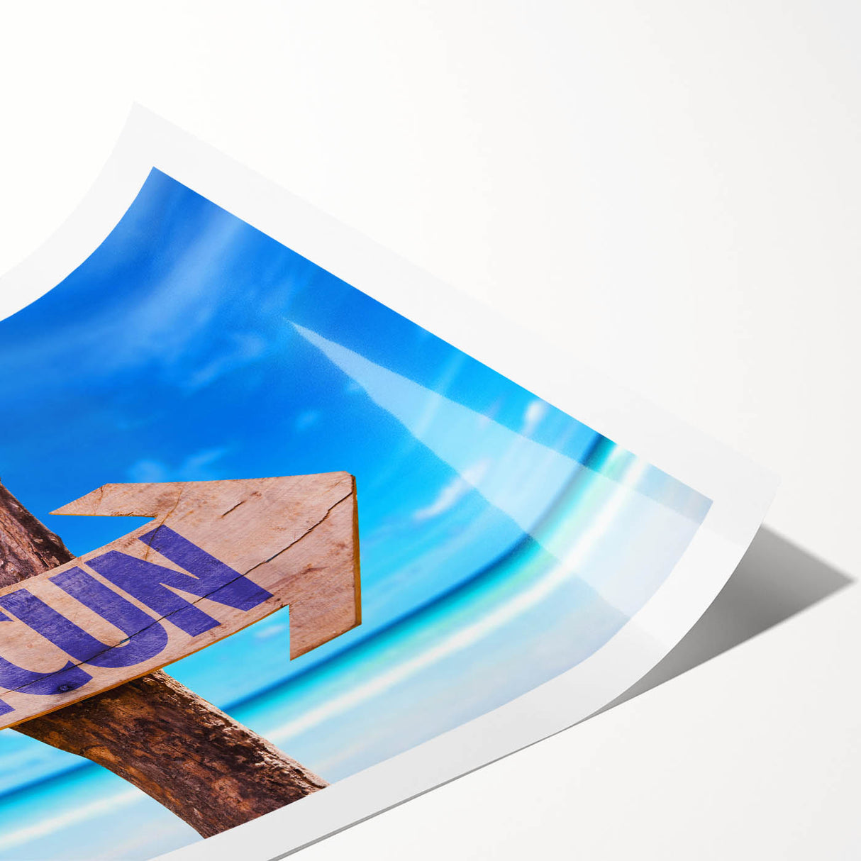 Extra large wall art featuring line art flowers in monochrome, rolled print format, ideal for large living room decor.