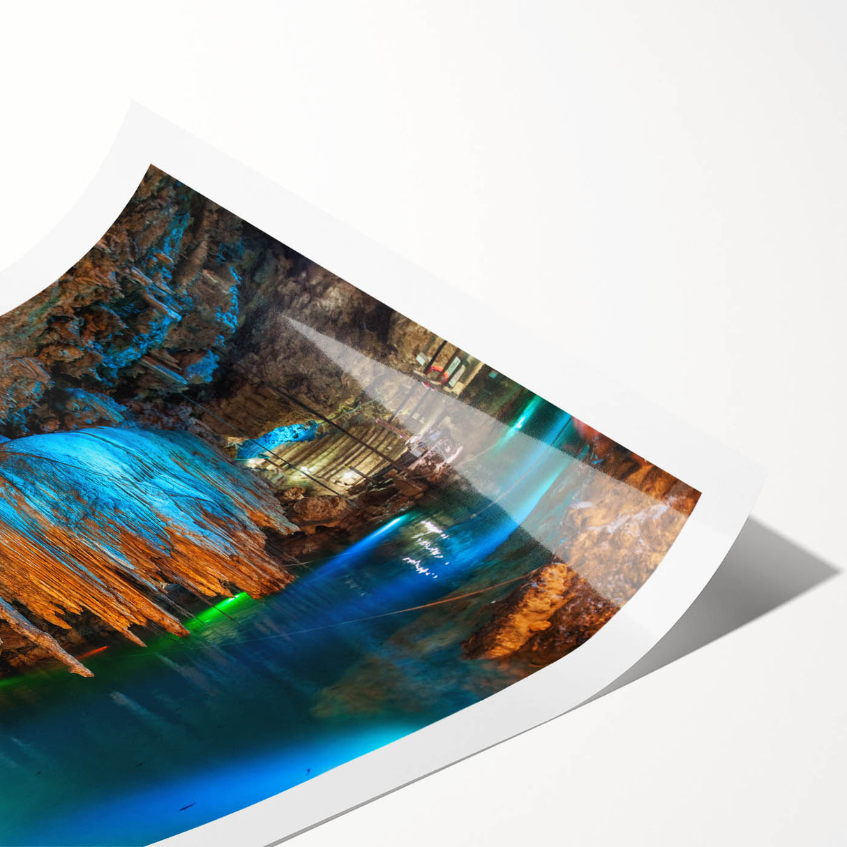 Extra large rolled print featuring line art flowers in muted earth tones, ideal for large living room wall art.