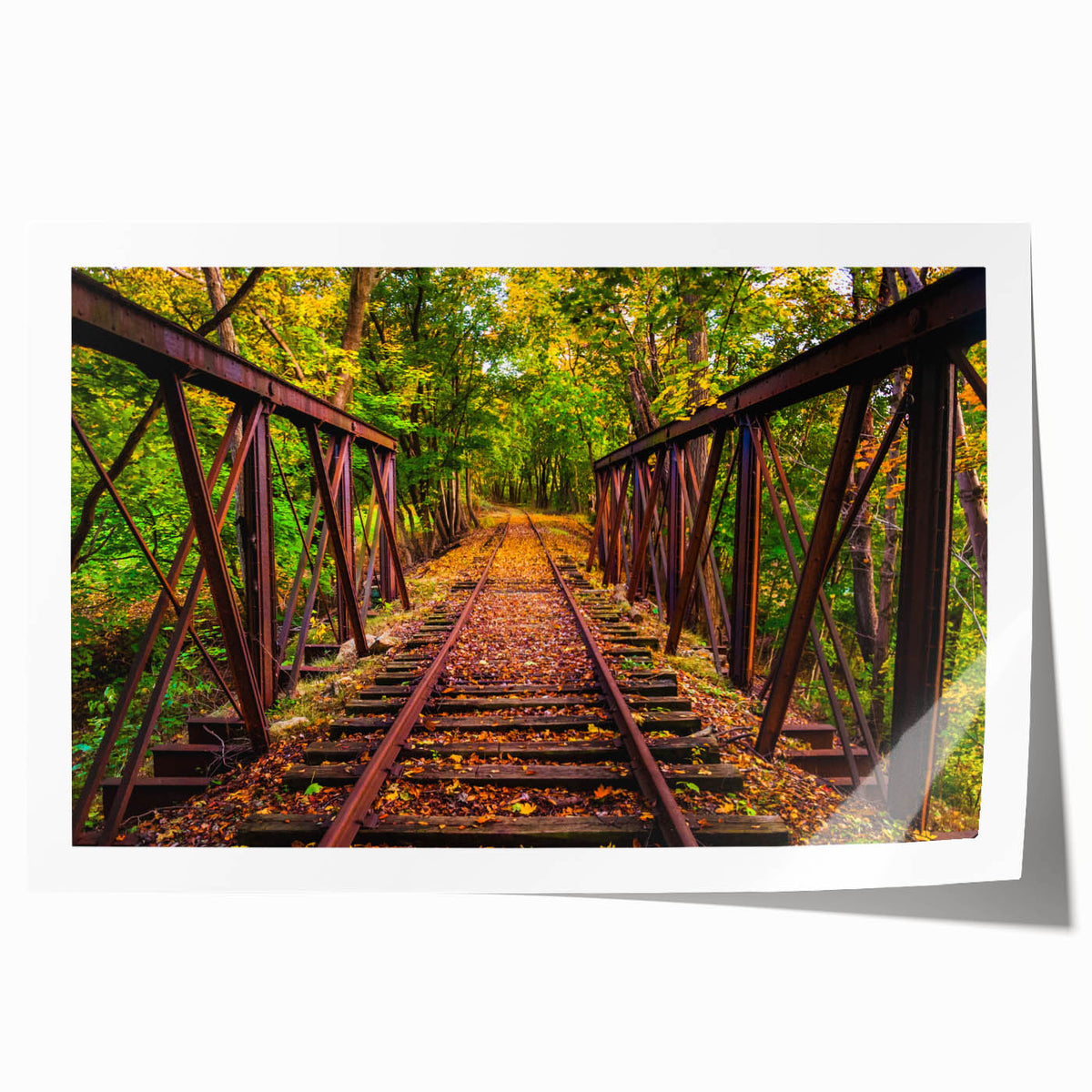Rolled print of Pennsylvania scenery with floral designs in soft pastel shades, suitable for art wall dining room.