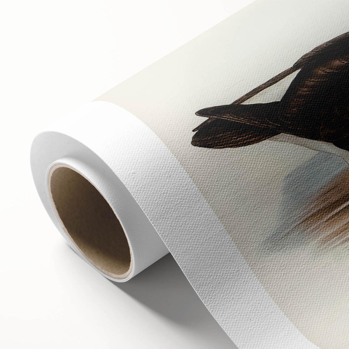 Romanticism Art: Black-Browed Albatross by Elizabeth Gould