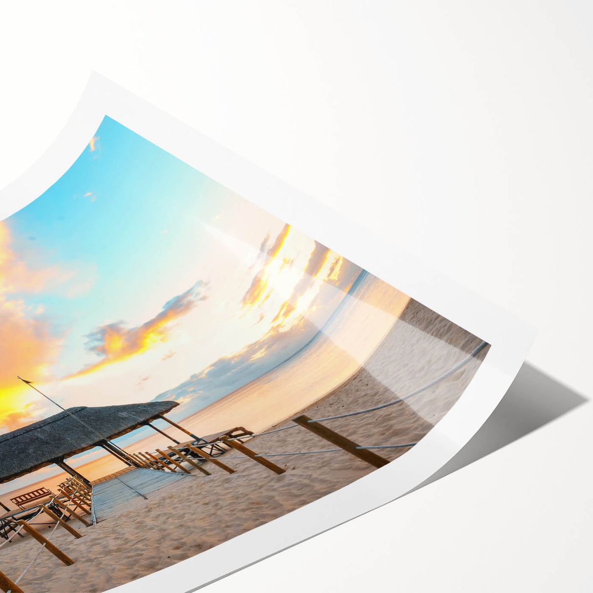 Extra large wall art featuring line art flowers in vibrant colors on a rolled print, ideal for large living room decor.