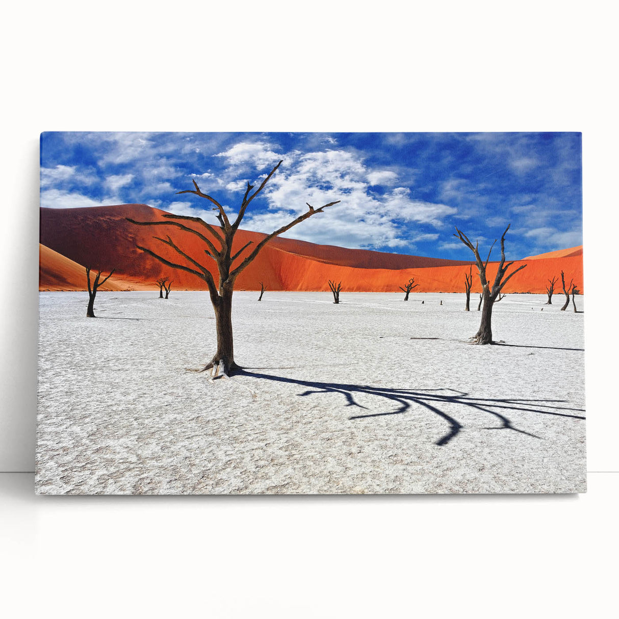 Black and white photograph of an African savannah on stretched canvas, ideal for kitchen wall art or bedroom ambiance.