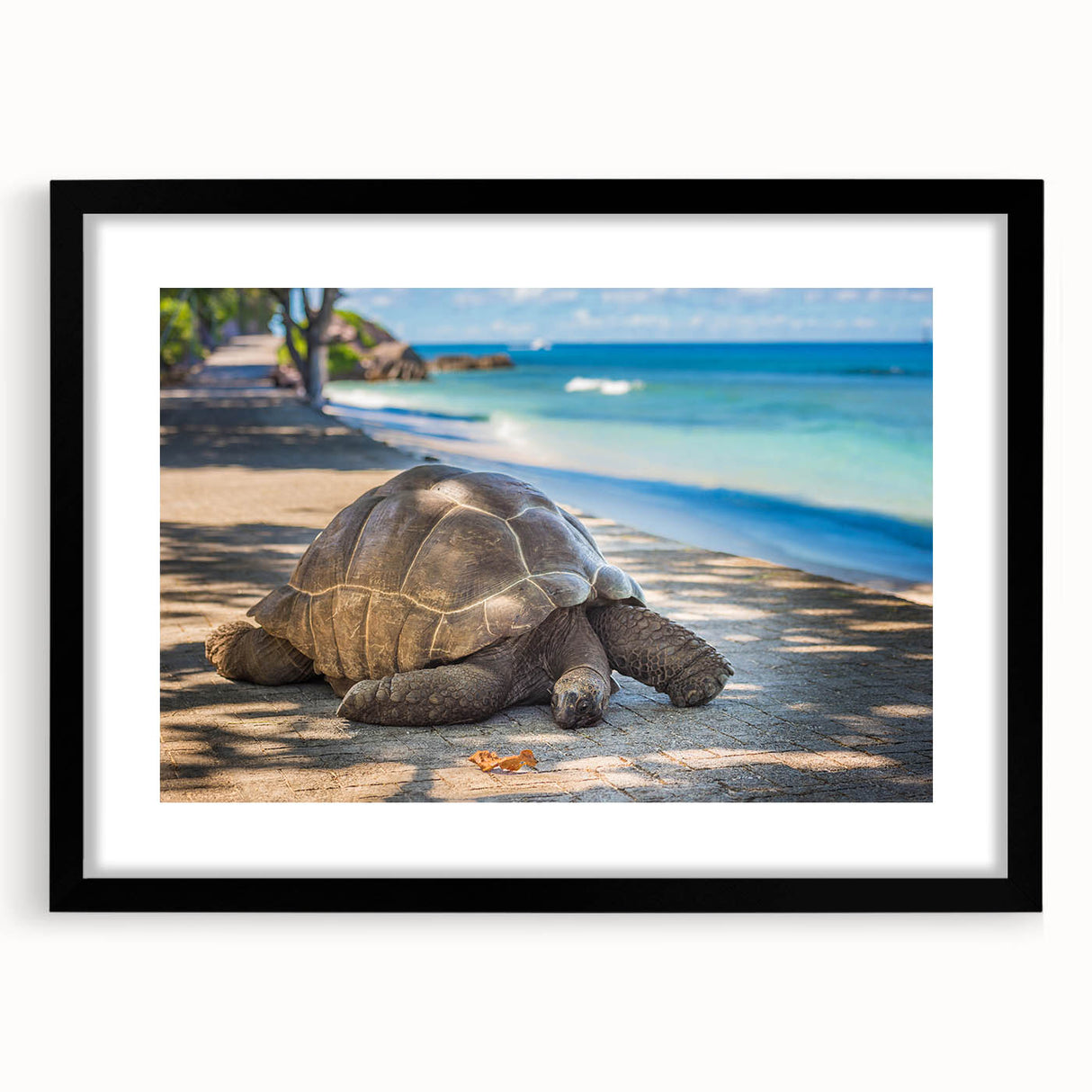 Extra large abstract art print of a colorful Seychelles scenery on textured canvas, framed in black.