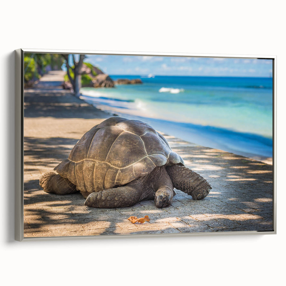 Framed canvas landscape art paintings depicting a Seychelles beach scene in vibrant colors, ideal for living room decor.