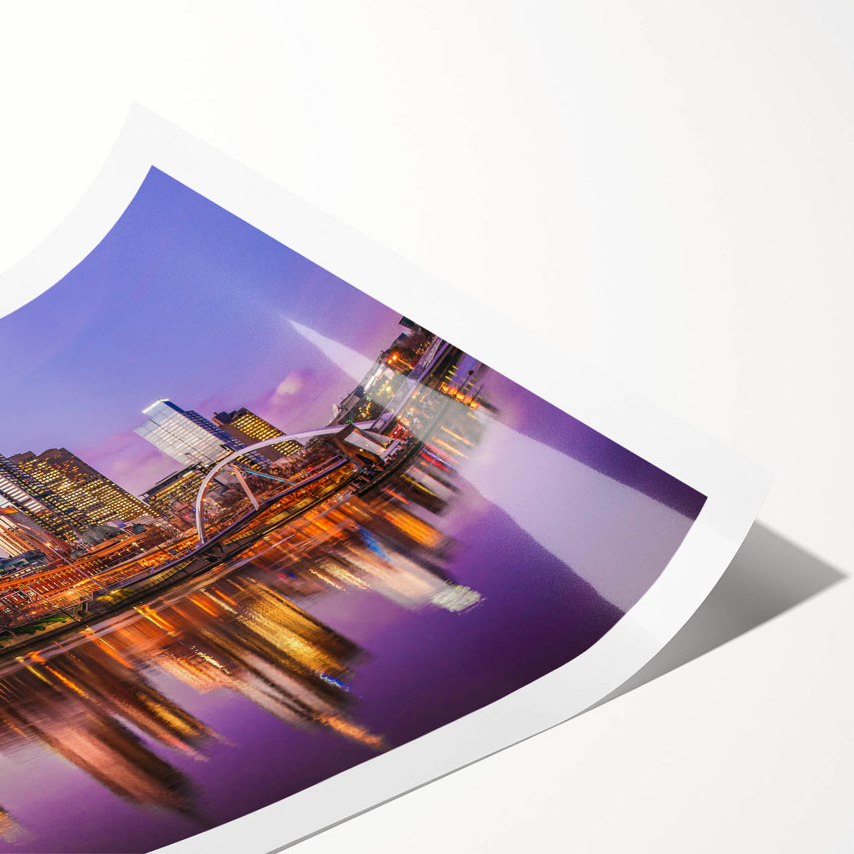 Extra large rolled print featuring line art flowers in subtle earth tones, ideal for large living room wall art.