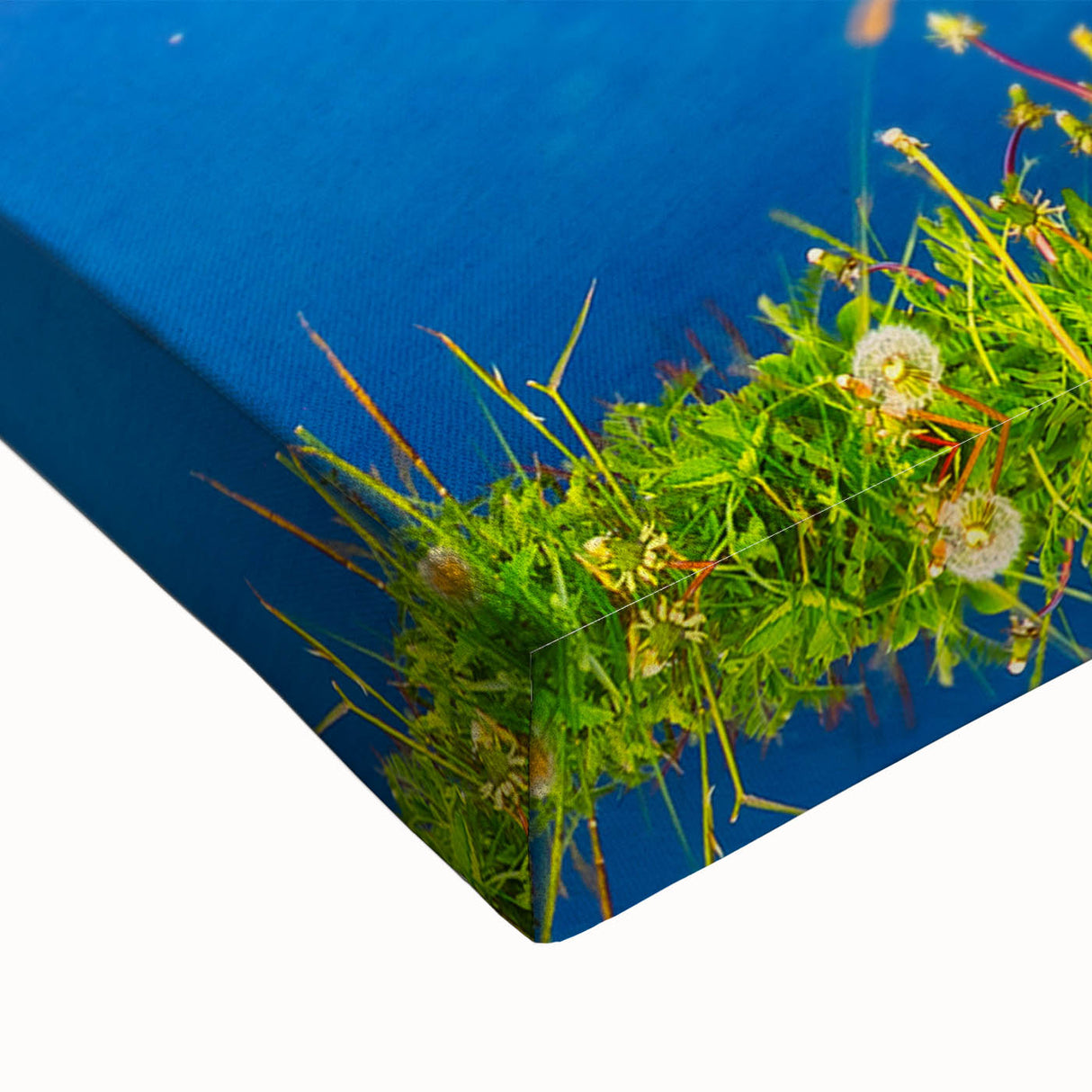 Large art of a black and white Newfoundland landscape on stretched canvas, ideal for bedroom wall decor.