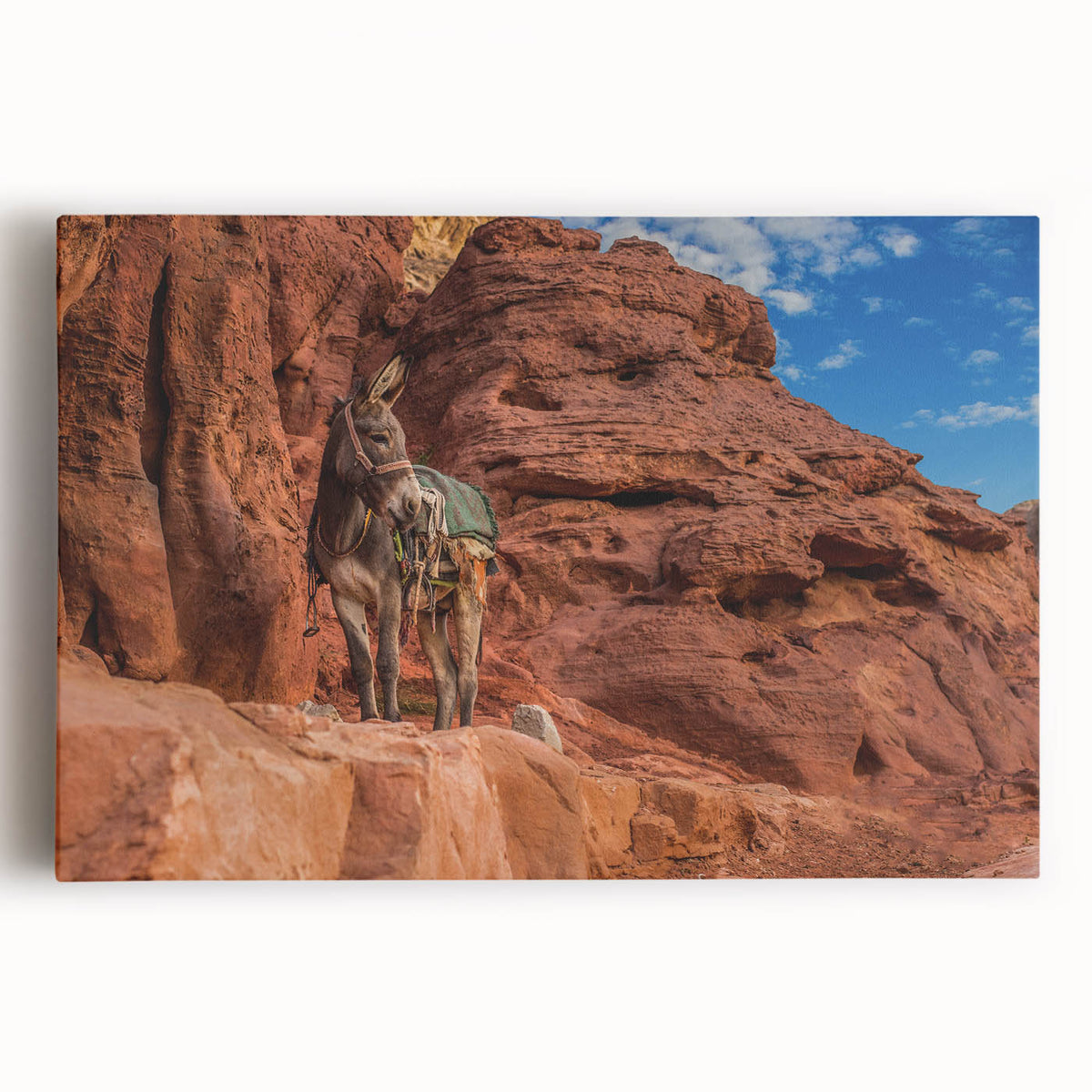 Black and white large art print of Afghan landscape on stretched canvas, ideal for kitchen wall art.
