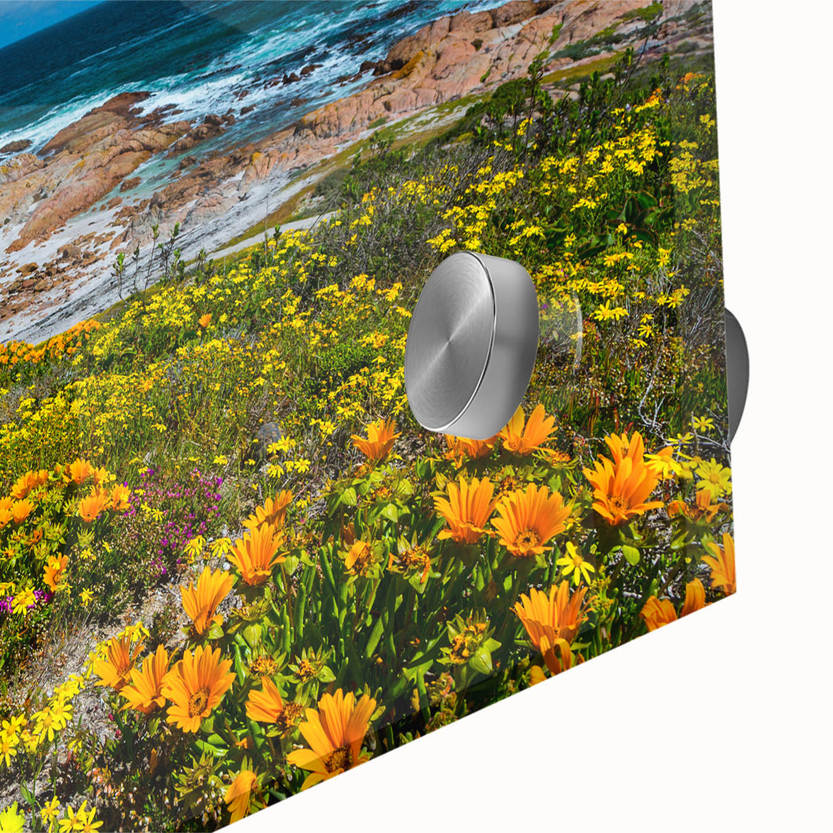 Large abstract wall art depicting South African scenery in mid-century modernist style on acrylic glass.