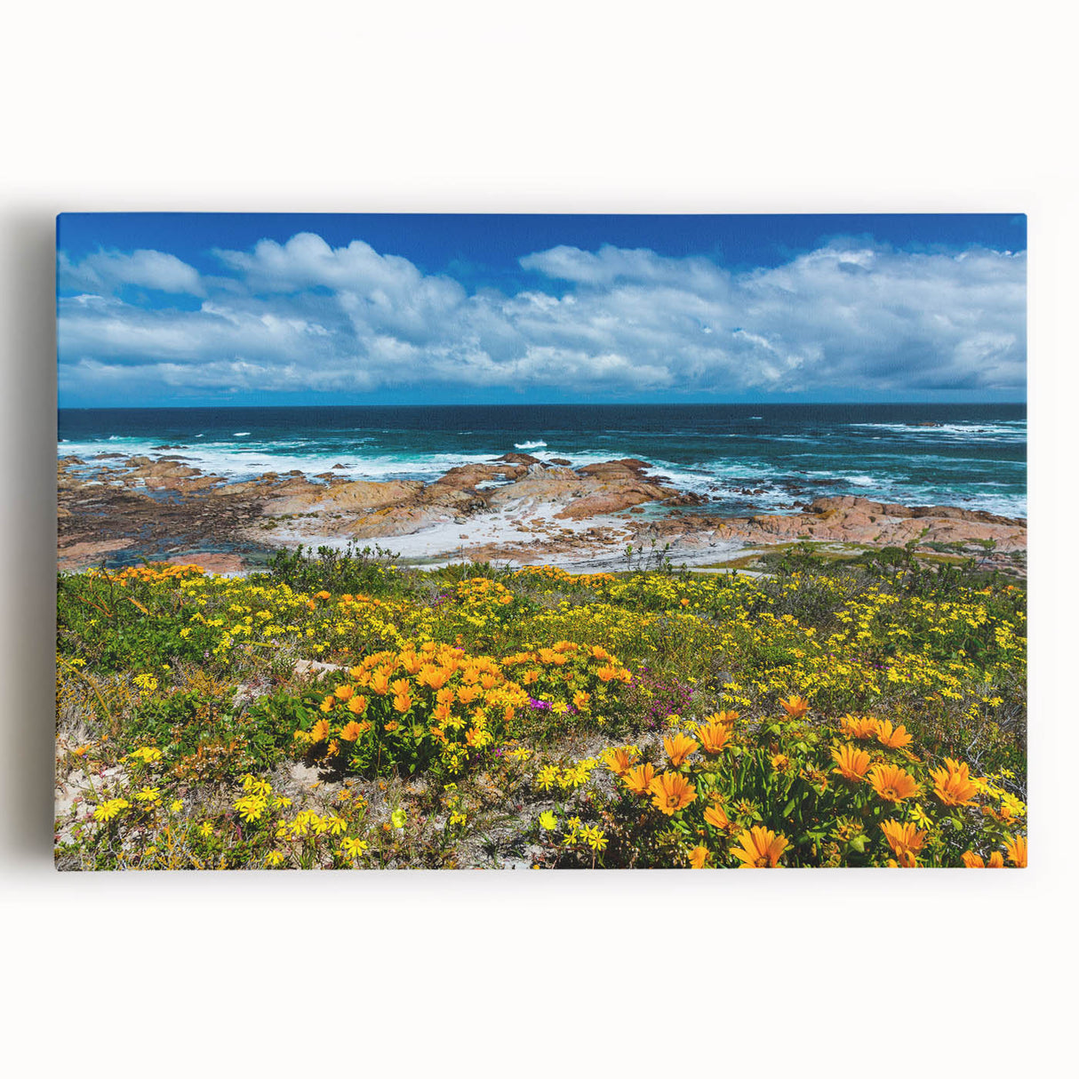Large black and white stretched canvas of an African landscape, suitable as kitchen wall art.