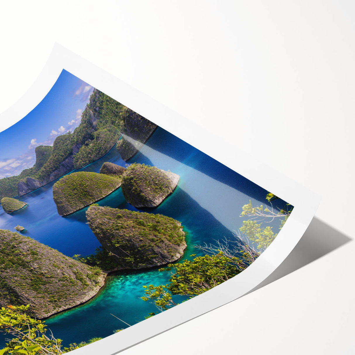 Extra large rolled print featuring line art flowers in muted earth tones, ideal for large living room wall art.