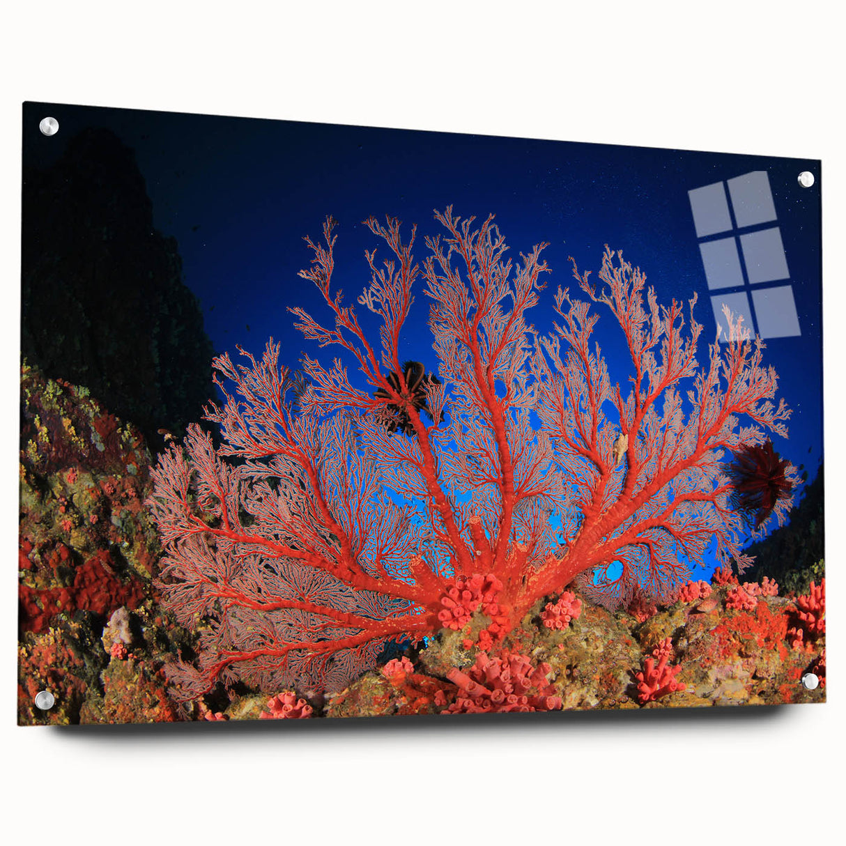 Acrylic print of the Great Barrier Reef in vibrant blue and green hues, suitable for bedroom or dining room decor.