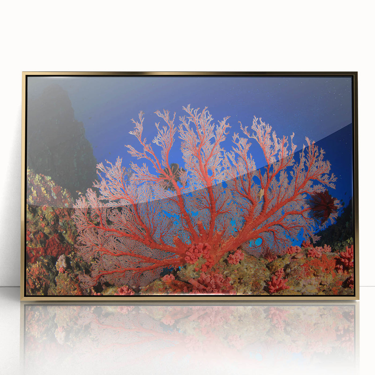 Mid-century modernist art depicting the Great Barrier Reef in vibrant blues and greens, framed acrylic.