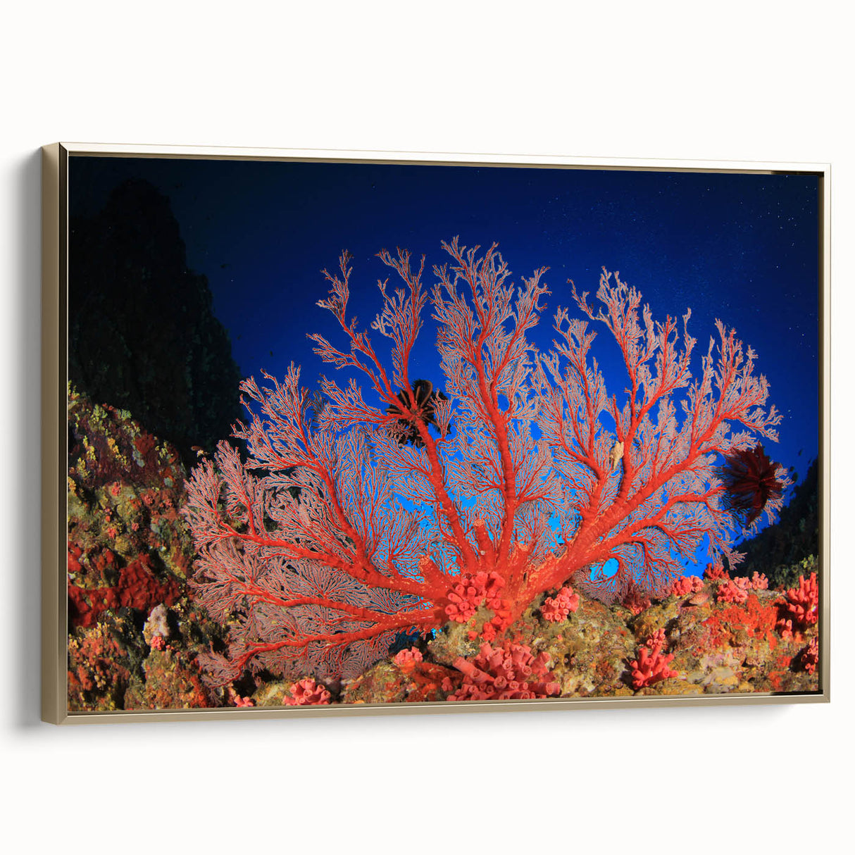 Framed canvas landscape art painting of the Great Barrier Reef, featuring vibrant blue and green tones.