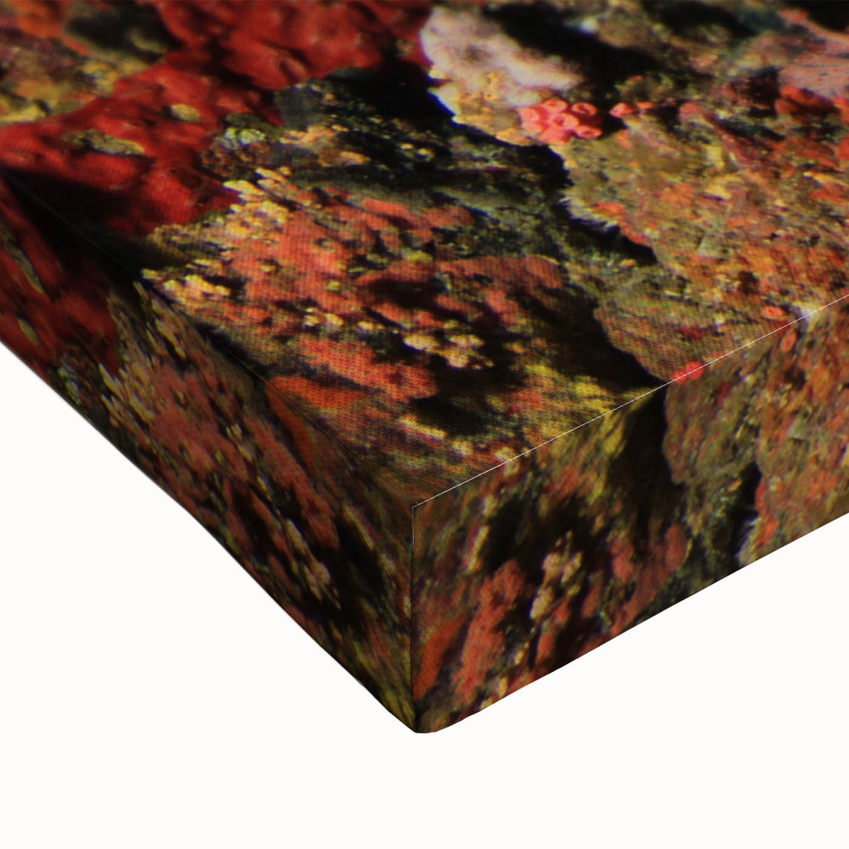 Black and white stretched canvas featuring a detailed Great Barrier Reef landscape, ideal for bedroom wall art.