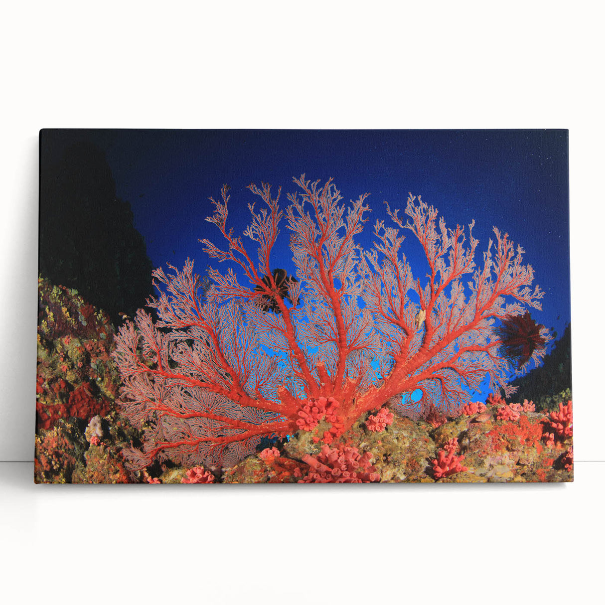 Black and white large art print of the Great Barrier Reef on stretched canvas, ideal for kitchen wall art or bedroom decor.