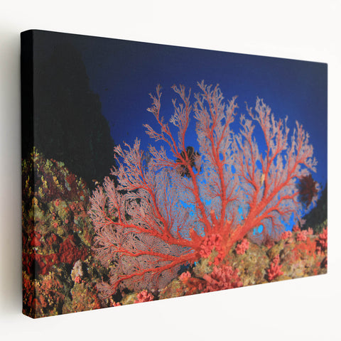 Stretched canvas print of the Great Barrier Reef in vivid blue and aqua tones, suitable for kitchen wall art.