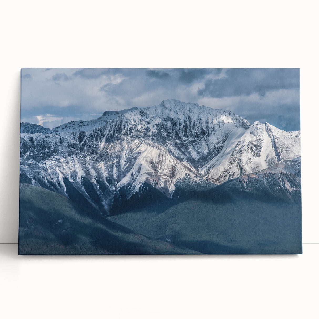 Black and white photograph of British Columbia scenery on large stretched canvas.