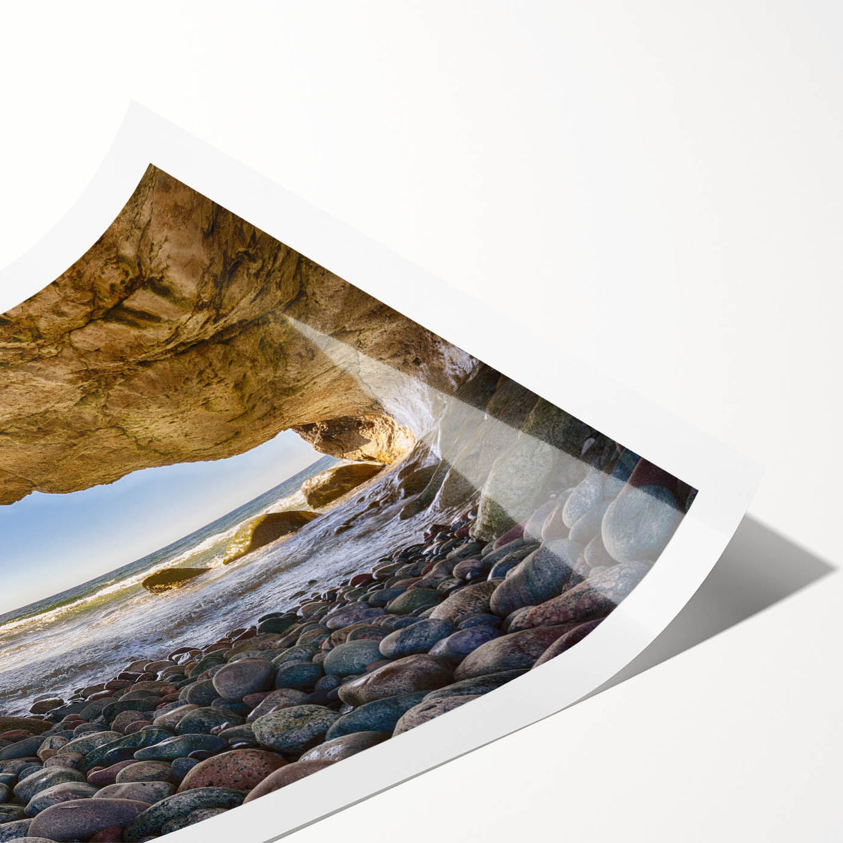 Extra large wall art featuring line art flowers in muted earth tones on a rolled print.