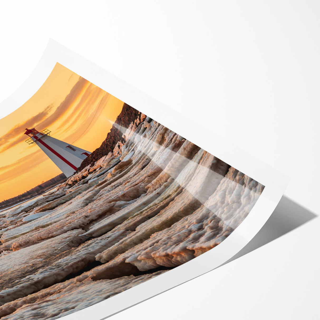 Extra large wall art featuring line art flowers in soft pastel shades on a rolled canvas, ideal for large living room decor.