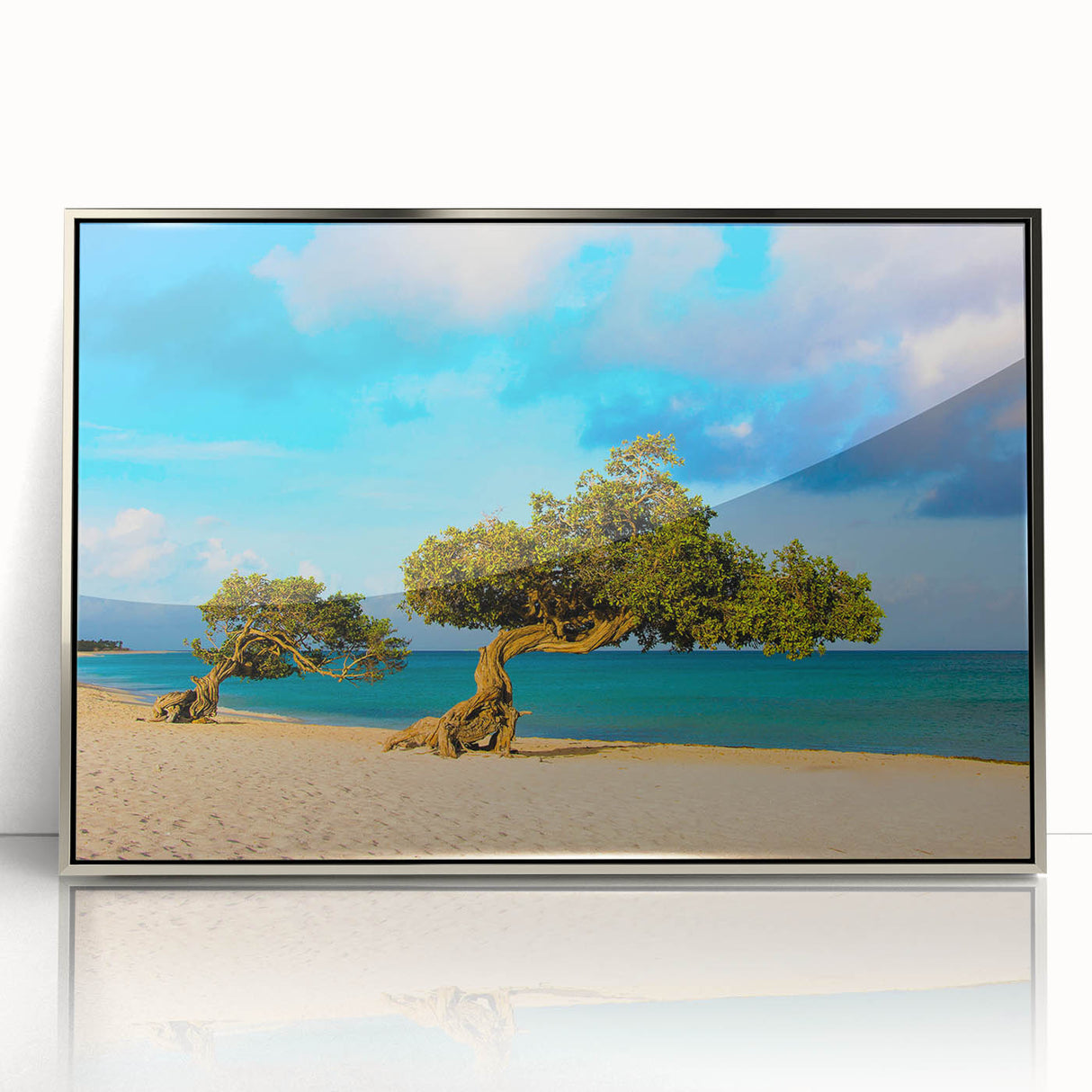 Large acrylic print of a Caribbean Aruba scenery in silver frame, featuring mid-century modernist style.