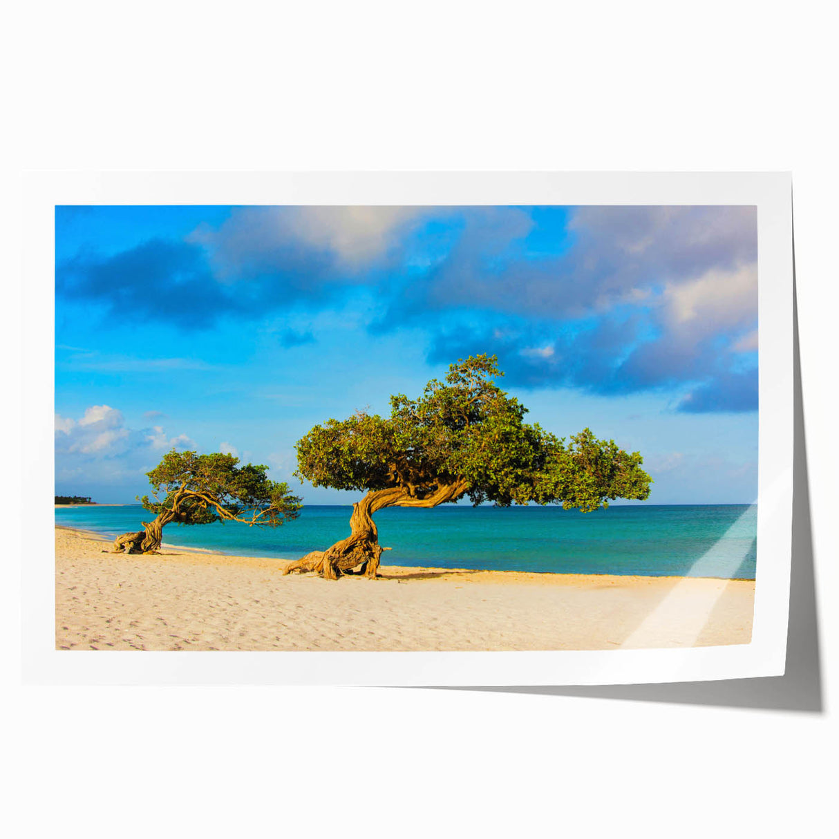 Extra large rolled canvas print of a Caribbean Aruba scenery with vibrant blue and green tones.