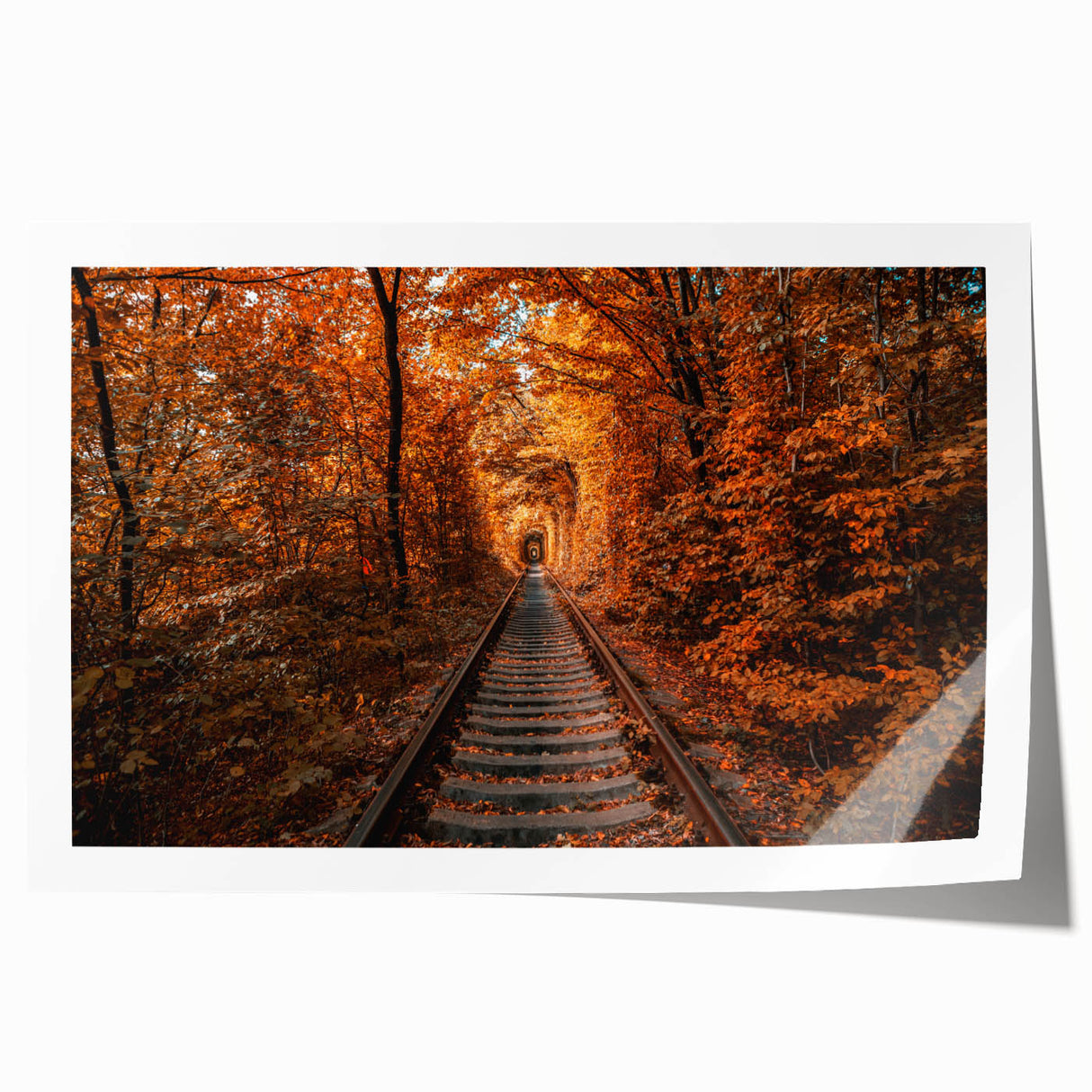 Extra large rolled print of a vibrant floral scene in Ukraine, ideal for art wall dining room.