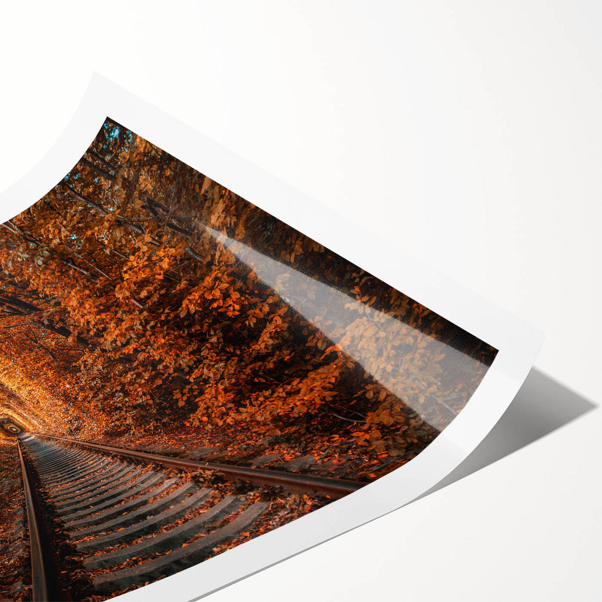 Extra large wall art featuring line art flowers in muted earth tones on rolled canvas, suitable for large living room decor.