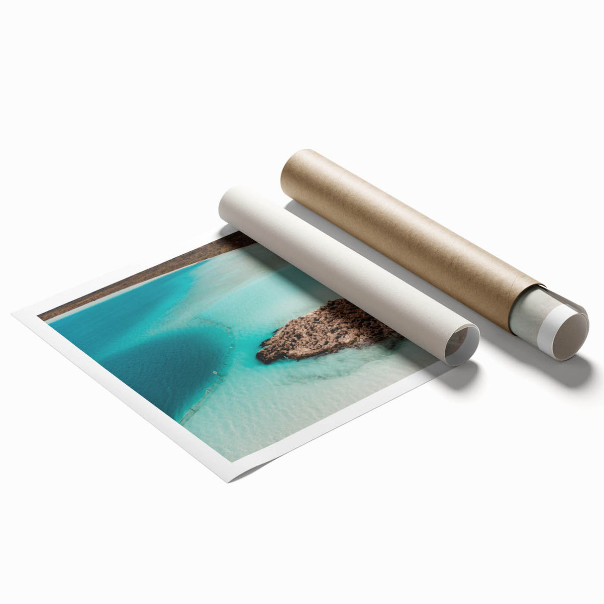 Extra large rolled print of Quintana Roo scenery featuring vibrant floral elements.