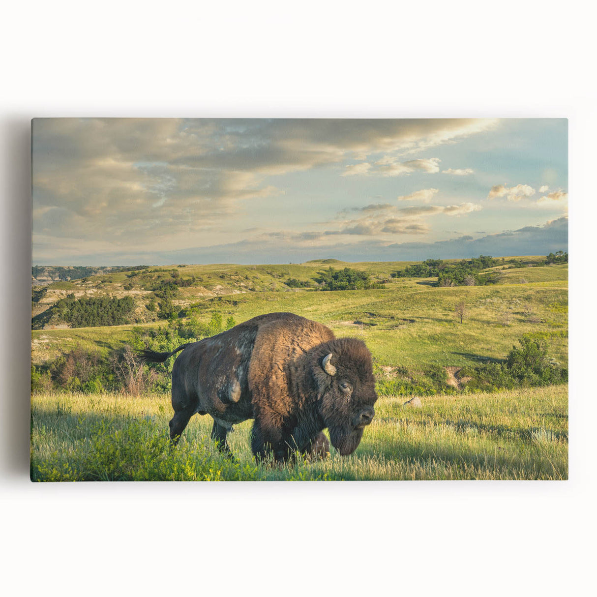 Black and white photograph of a North Dakota landscape on large stretched canvas, ideal for kitchen wall art.