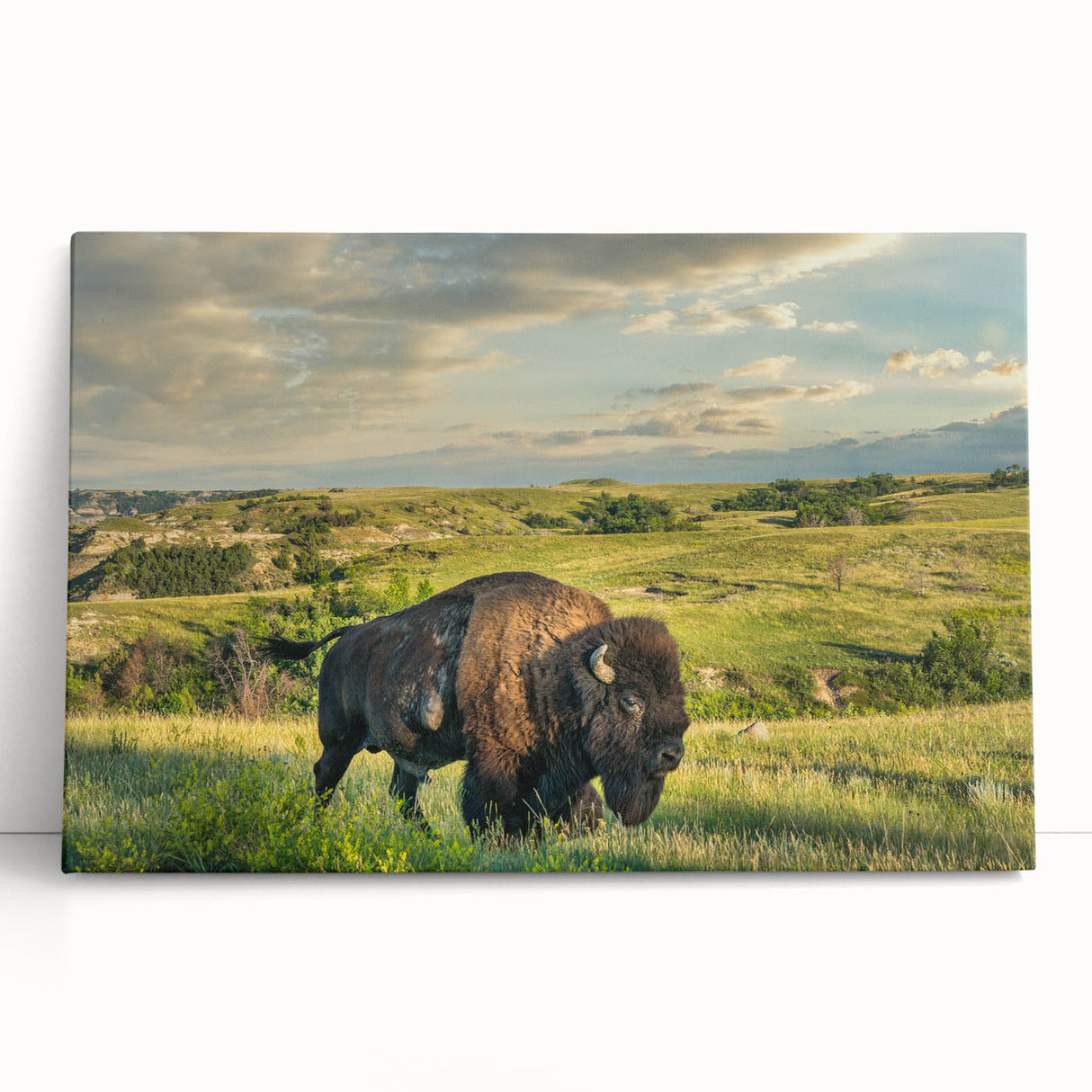 Black and white photo of North Dakota scenery on stretched canvas, ideal for kitchen wall art.