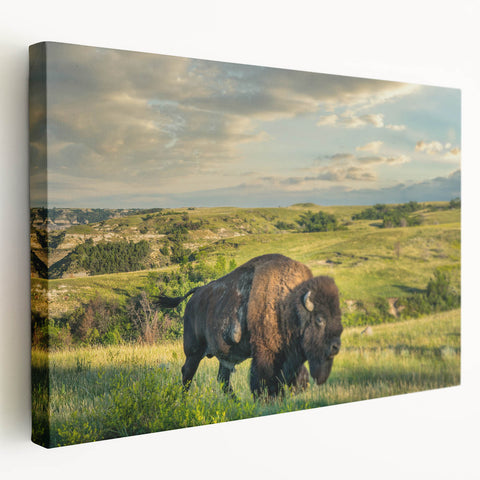 Stretched canvas depicting a serene North Dakota landscape in muted earth tones, suitable for kitchen wall art.