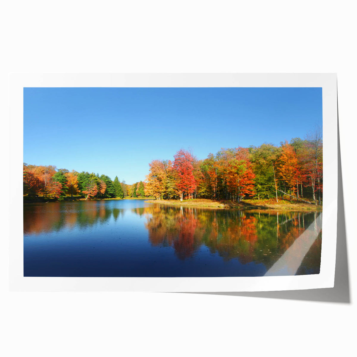 Rolled print of Pennsylvania scenery with vivid green and floral elements, suitable for art wall dining room.