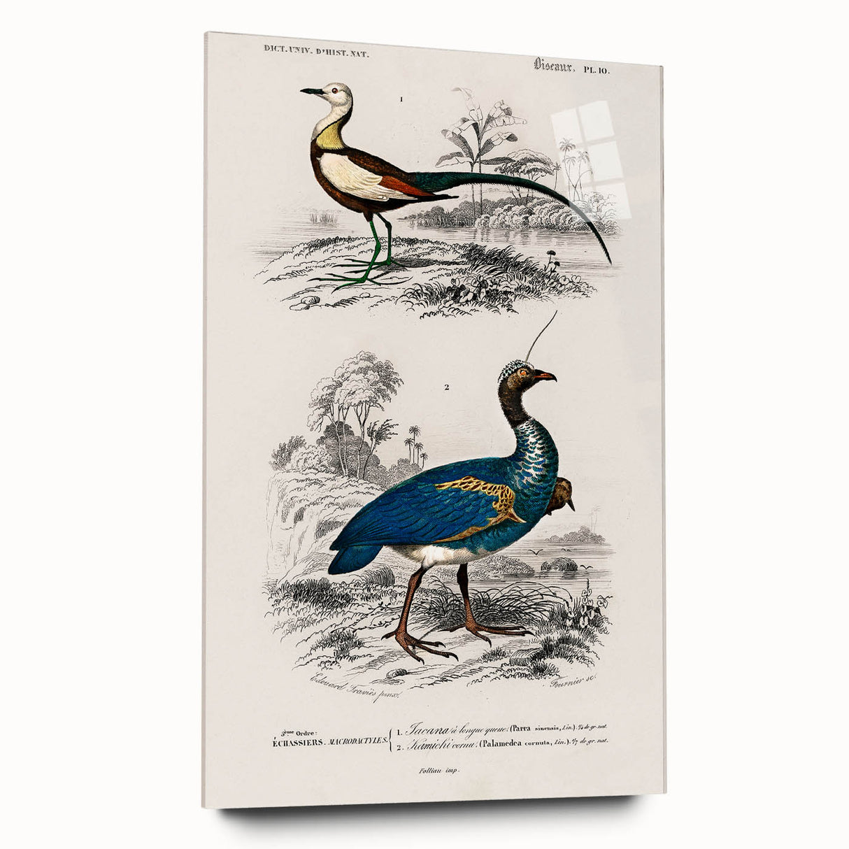 Historical Romanticism Canvas: Exotic Birds - Romantic Art Prints