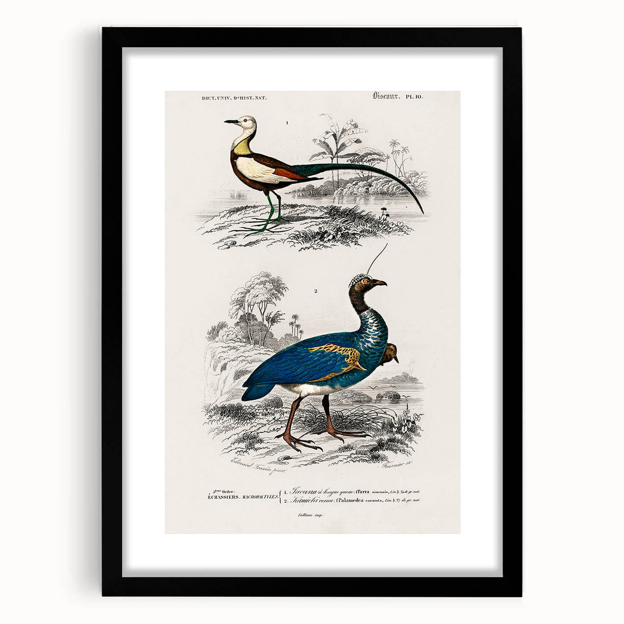 Historical Romanticism Canvas: Exotic Birds - Romantic Art Prints