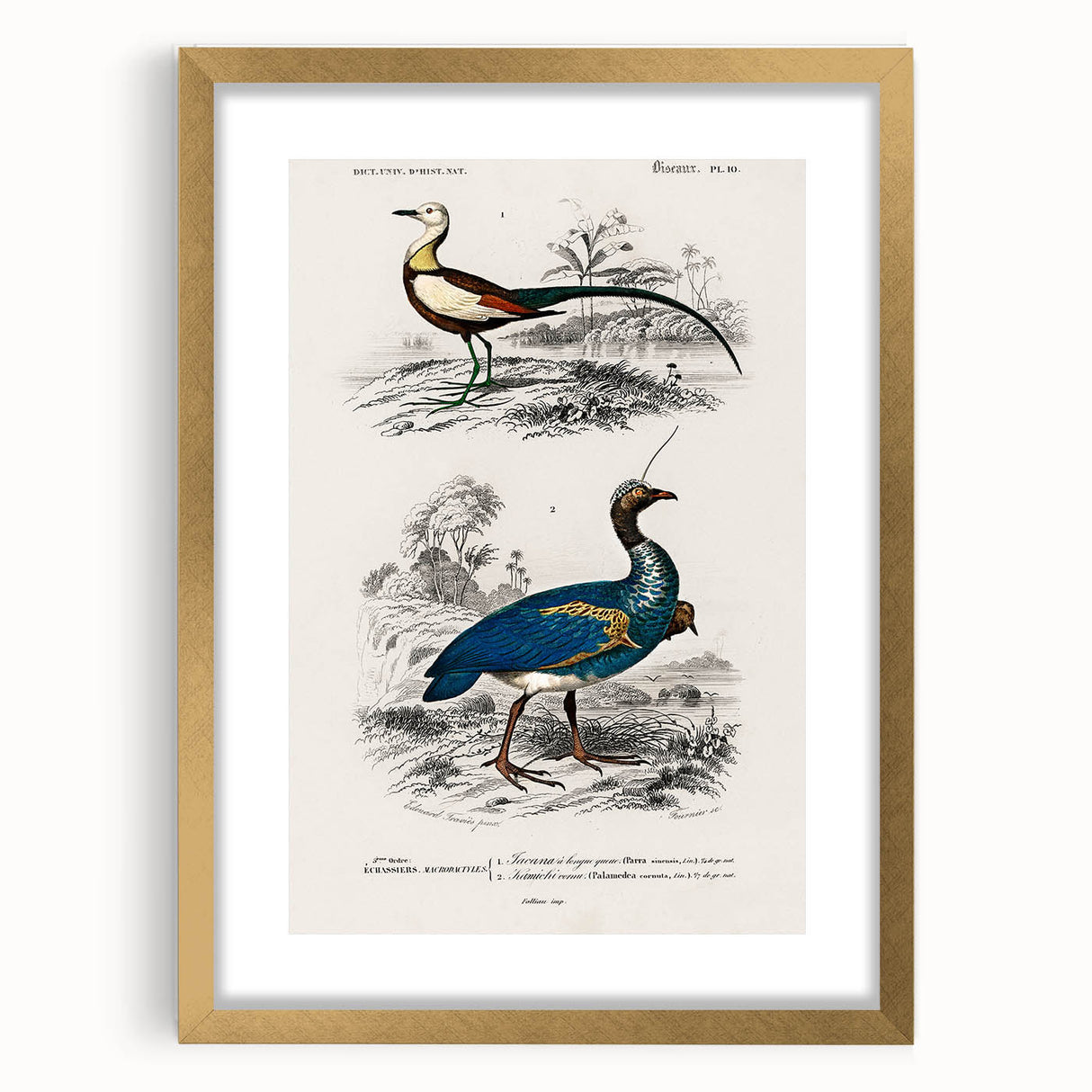 Historical Romanticism Canvas: Exotic Birds - Romantic Art Prints