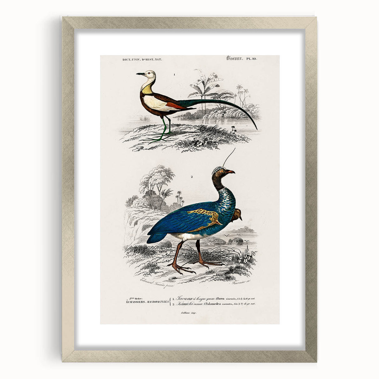 Historical Romanticism Canvas: Exotic Birds - Romantic Art Prints