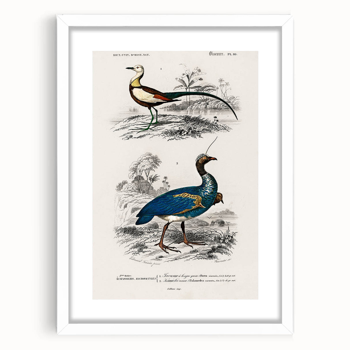 Historical Romanticism Canvas: Exotic Birds - Romantic Art Prints