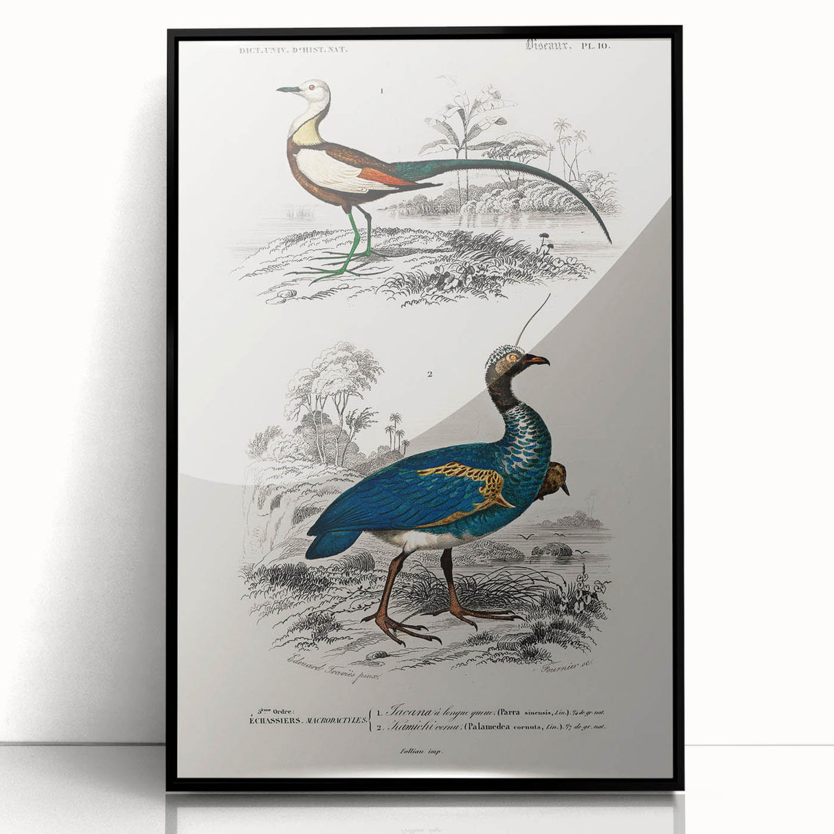 Historical Romanticism Canvas: Exotic Birds - Romantic Art Prints