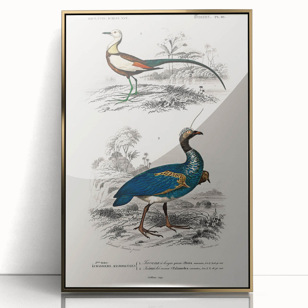 Historical Romanticism Canvas: Exotic Birds - Romantic Art Prints