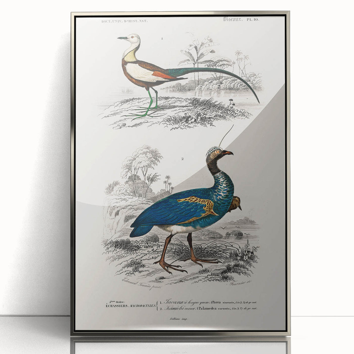 Historical Romanticism Canvas: Exotic Birds - Romantic Art Prints
