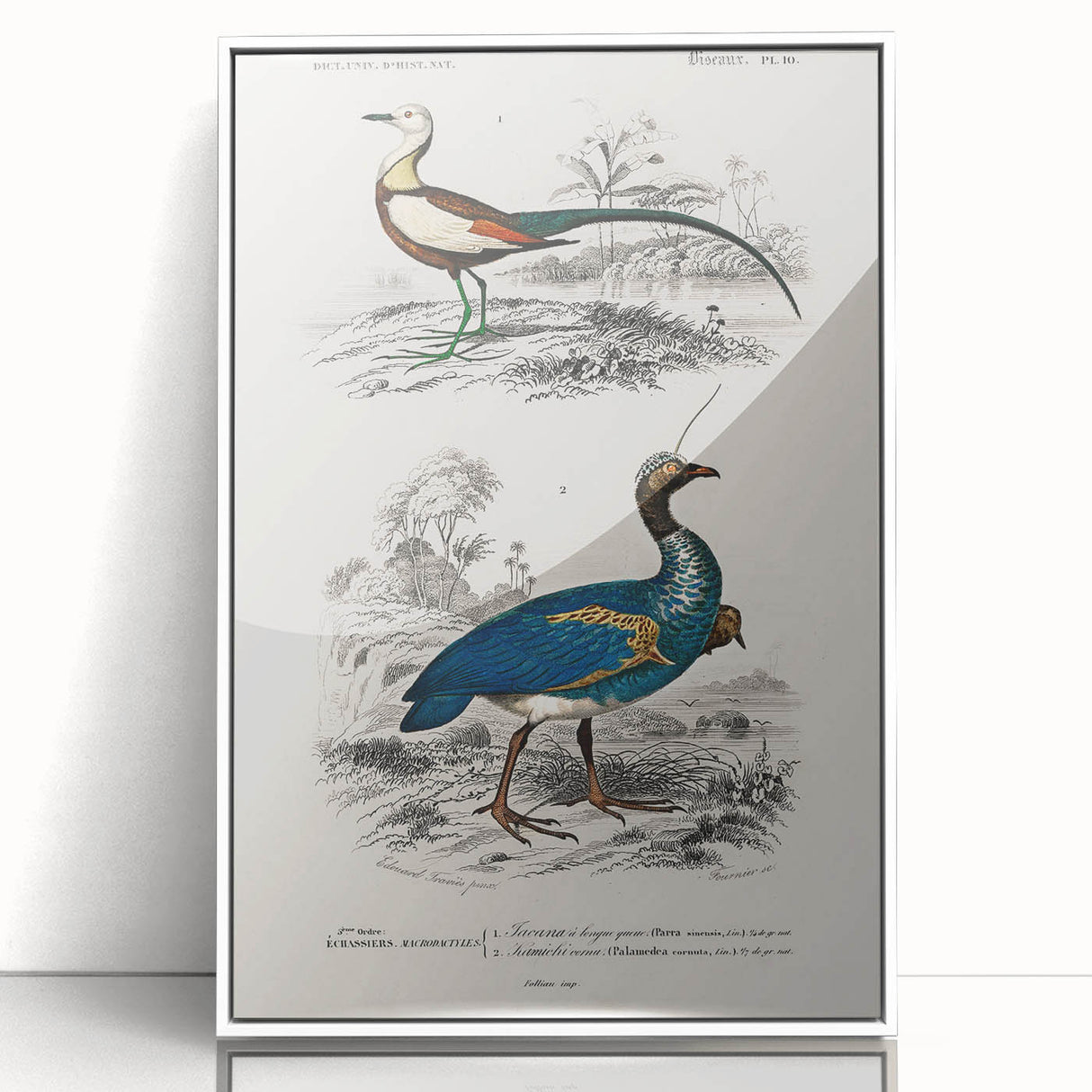 Historical Romanticism Canvas: Exotic Birds - Romantic Art Prints