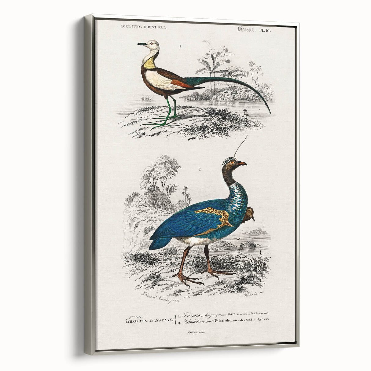 Historical Romanticism Canvas: Exotic Birds - Romantic Art Prints