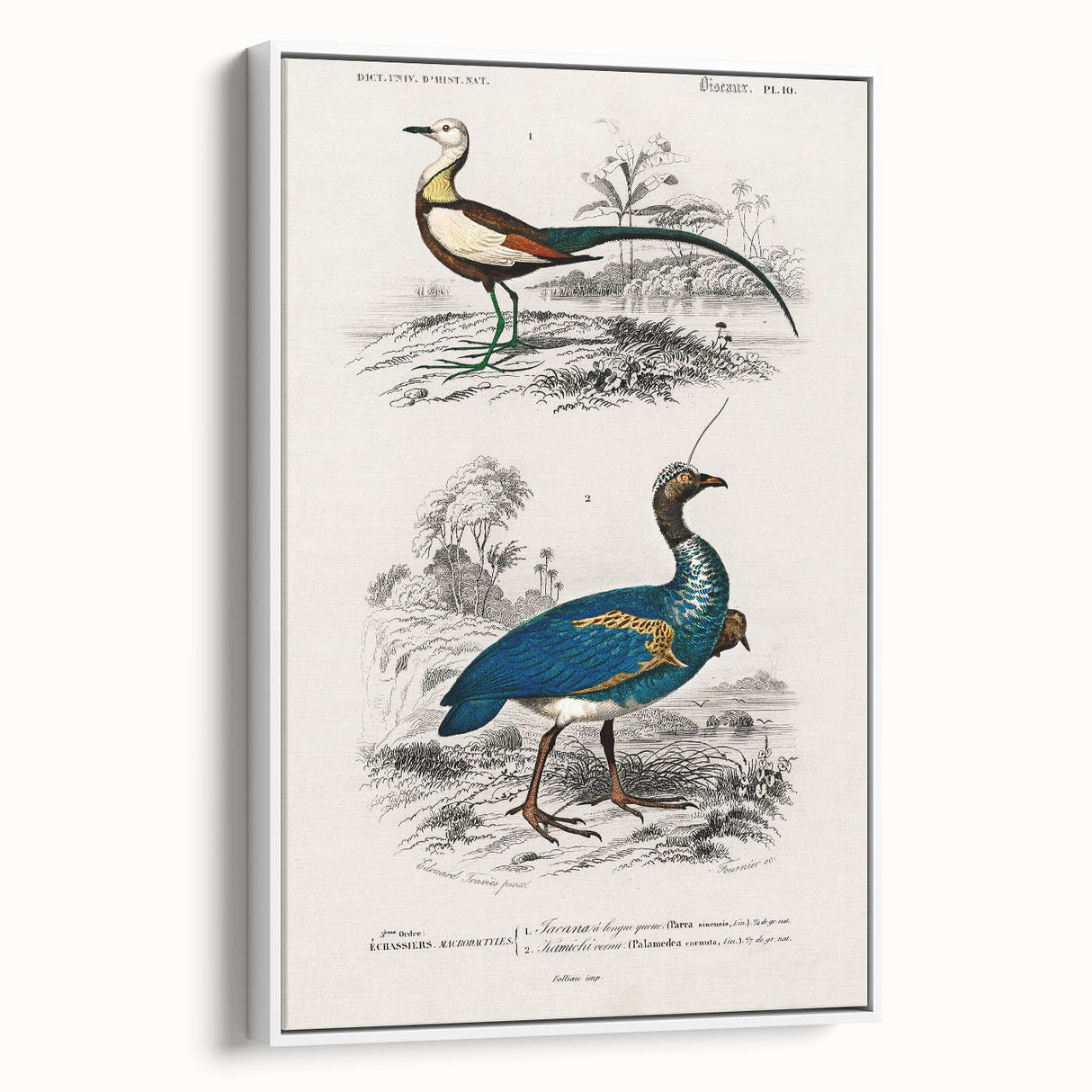 Historical Romanticism Canvas: Exotic Birds - Romantic Art Prints